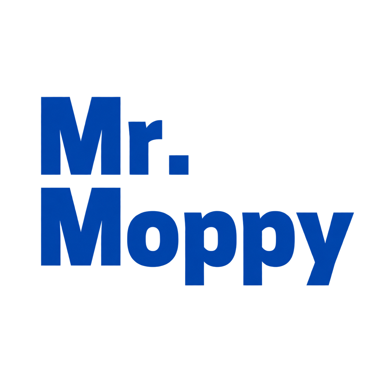 Mr. Moppy